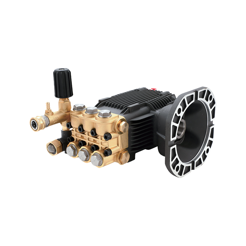 Bơm pít tông dẫn động trực tiếp động cơ loại DBD-C3