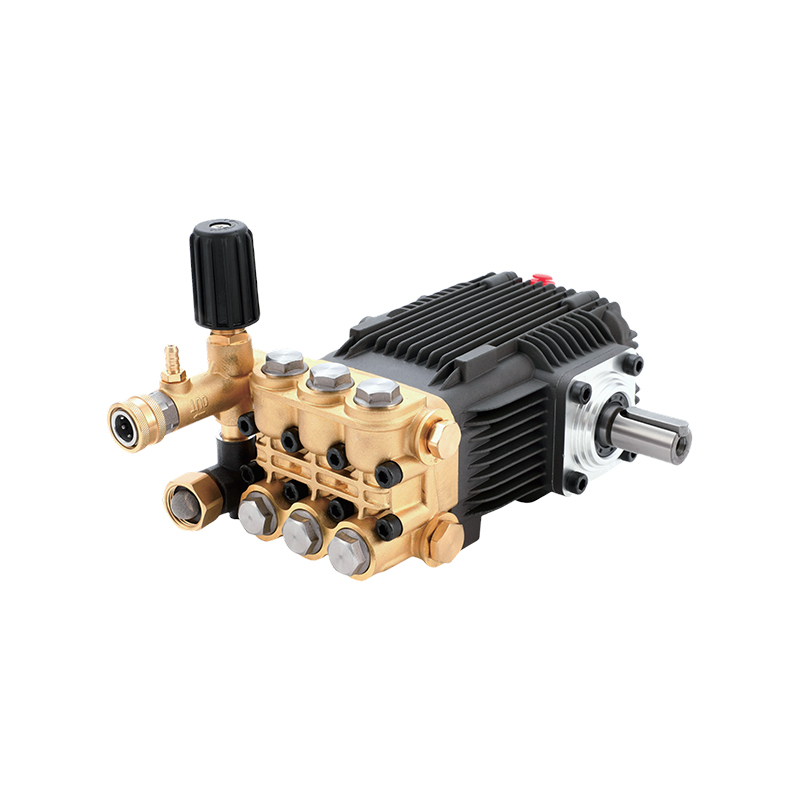 Bơm pít tông trục rắn loại DBD-B
